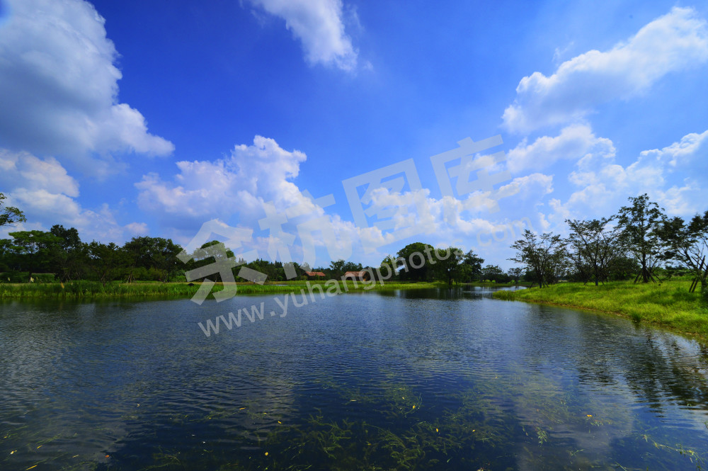 良渚古城遗址樱花湖