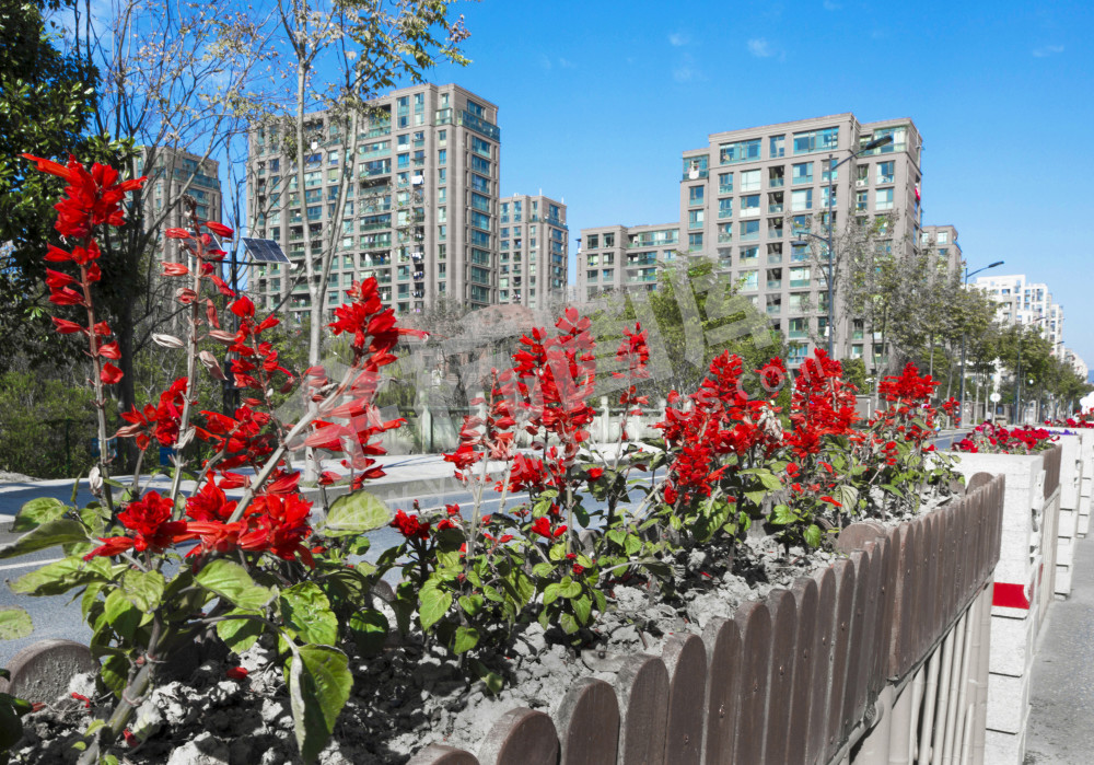 家园 ( 溪东路 )