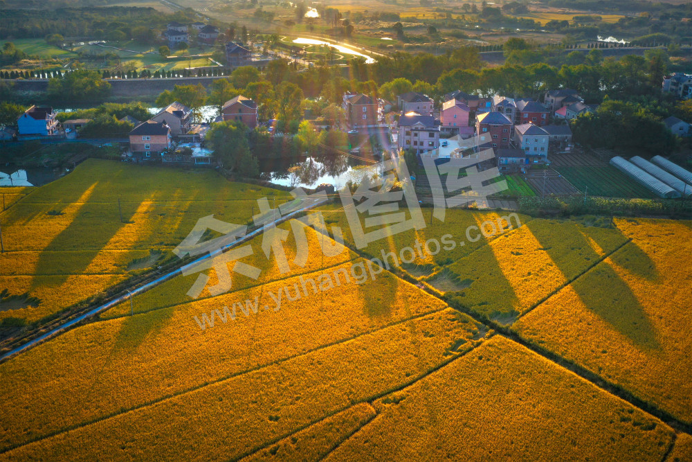 《瓶窑乡村美如画》