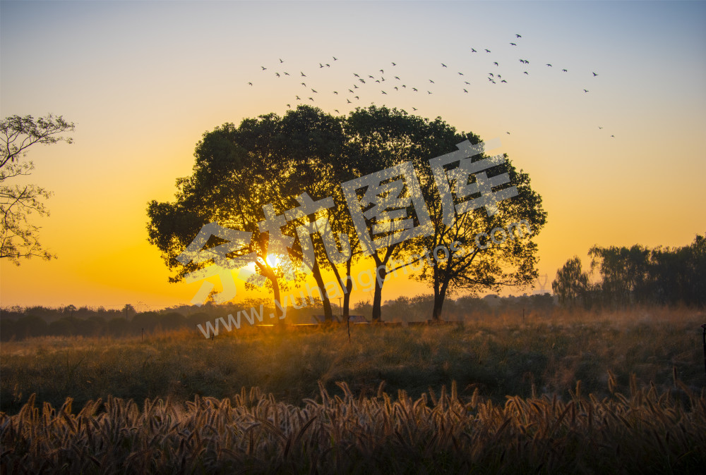 《良渚古城遗址公园》