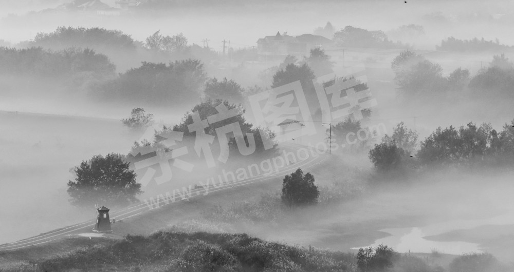 北湖草荡水墨韵