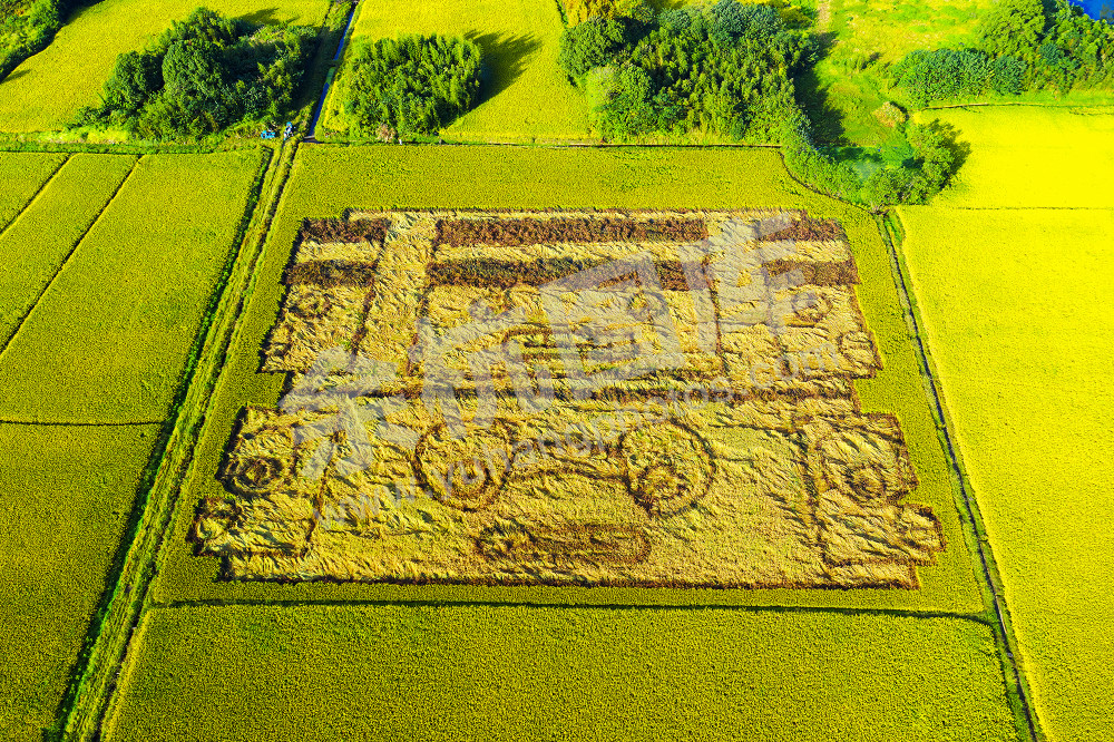 《良渚遗址公园精致的园林景观》