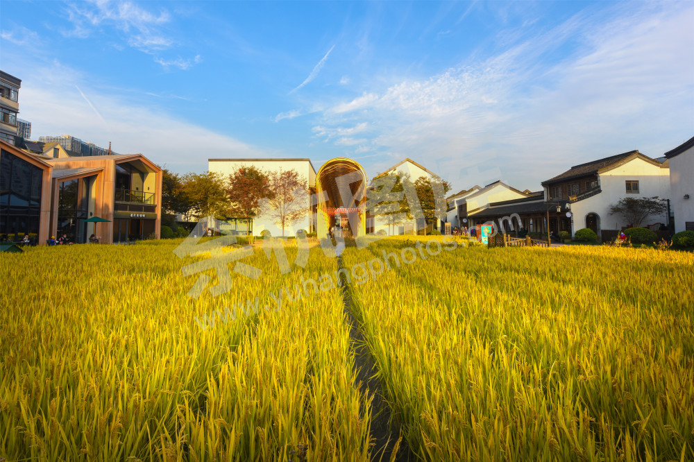 《文明圣地、科创高地余杭》