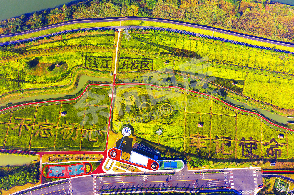 《智荟动力公园》