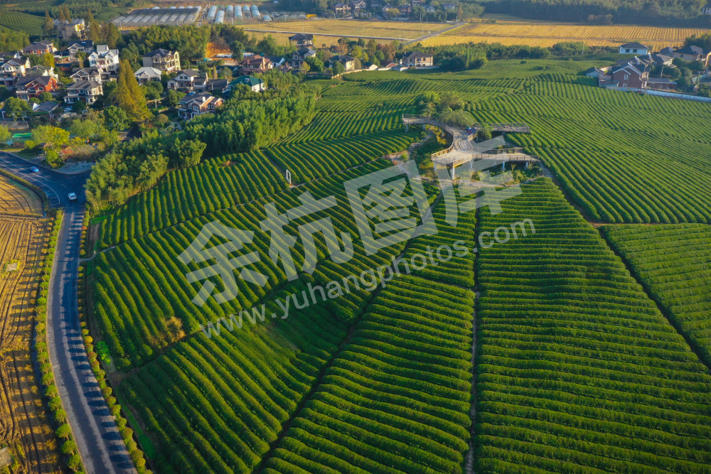 《生态径山乡村》