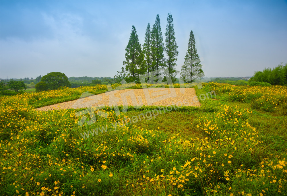 《雨中的良渚古城》
