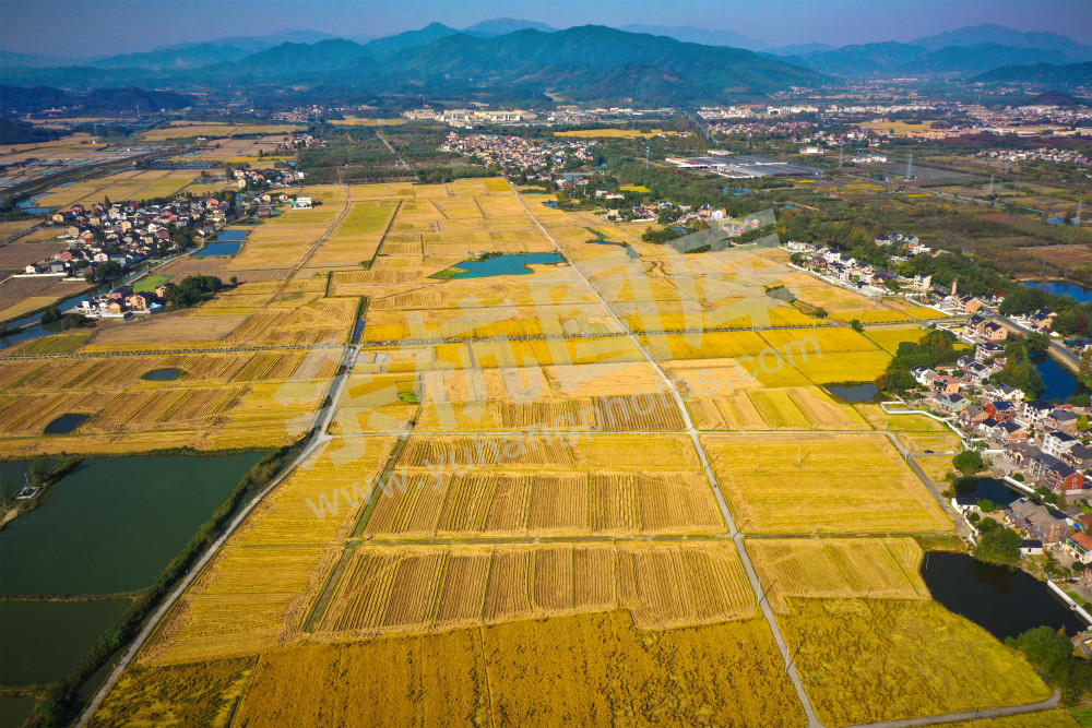 《生态径山乡村》