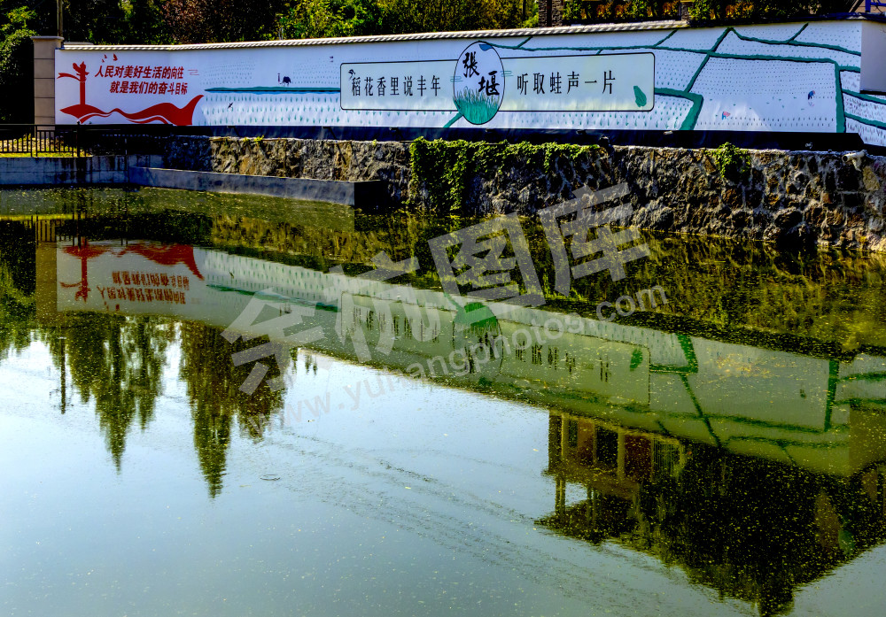 池塘旁边听蛙声