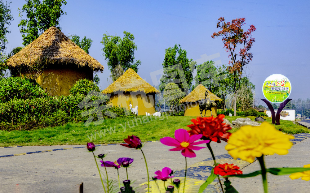 花儿朵朵向阳开