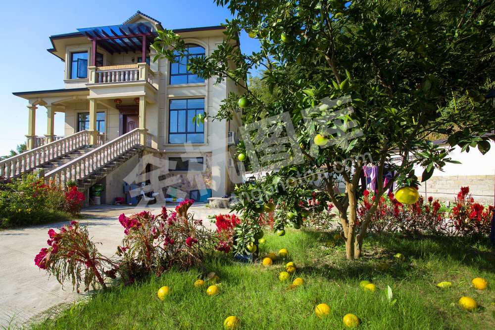 《扮靓庭院生活美》