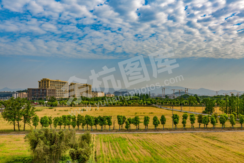 《高架路上看余杭》