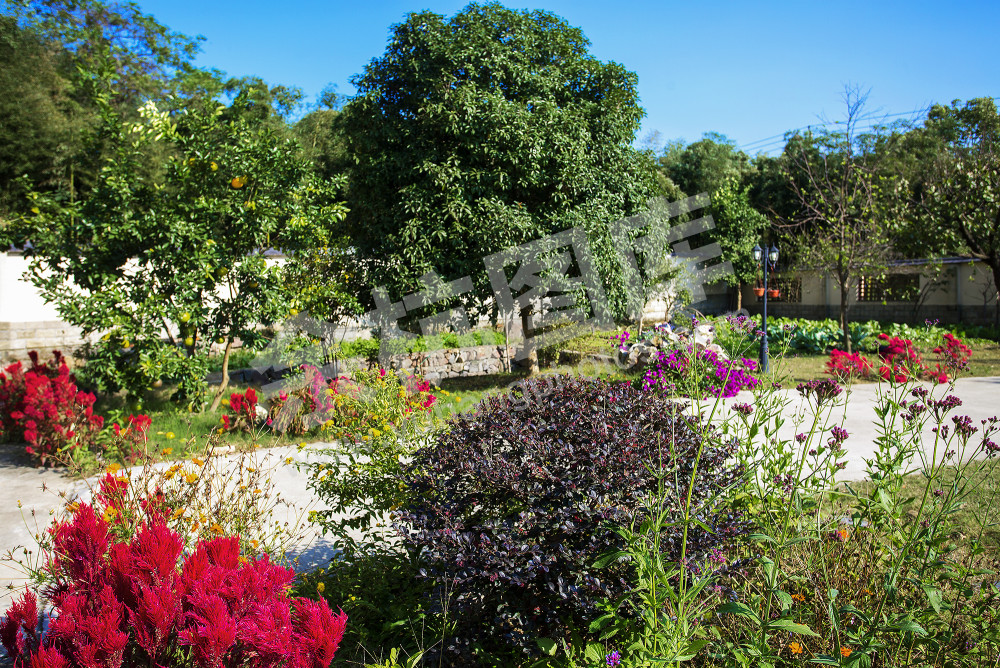 《扮靓庭院生活美》