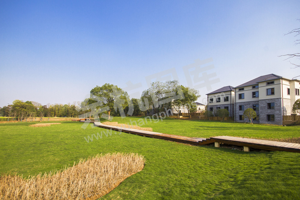 《发展民宿经济》