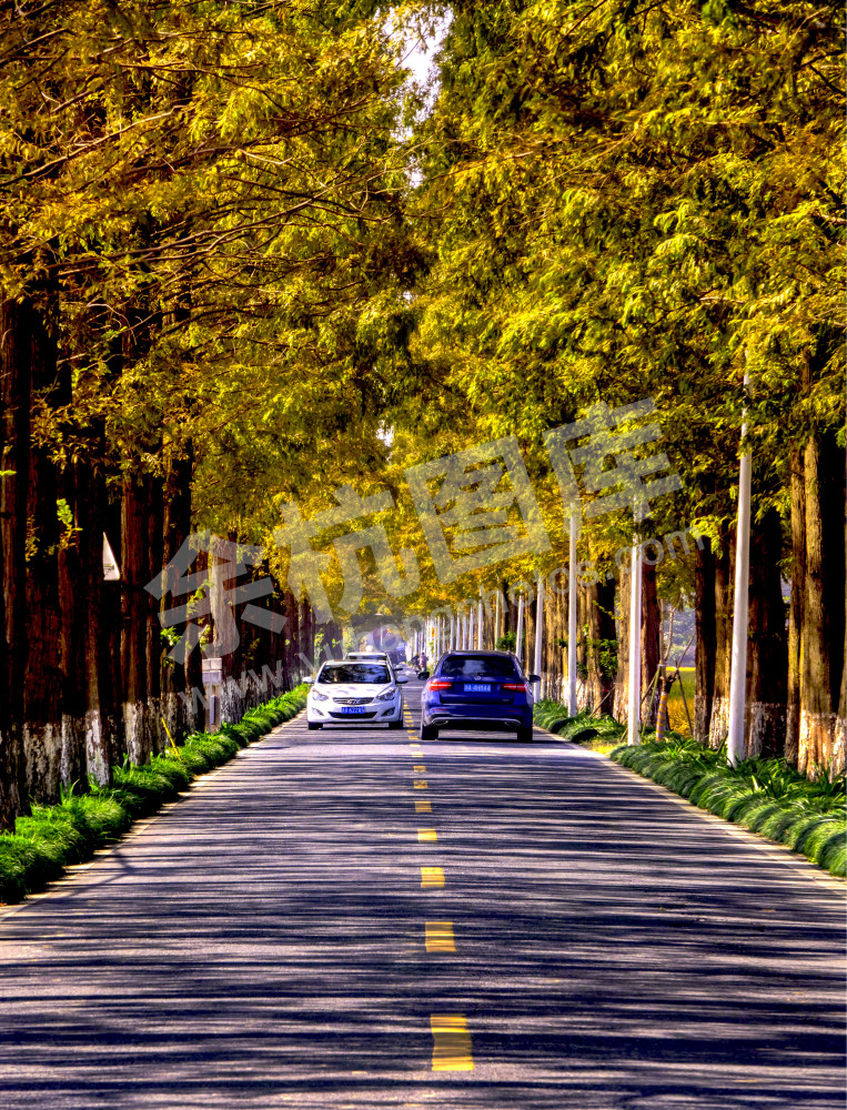 通衢大道到我家