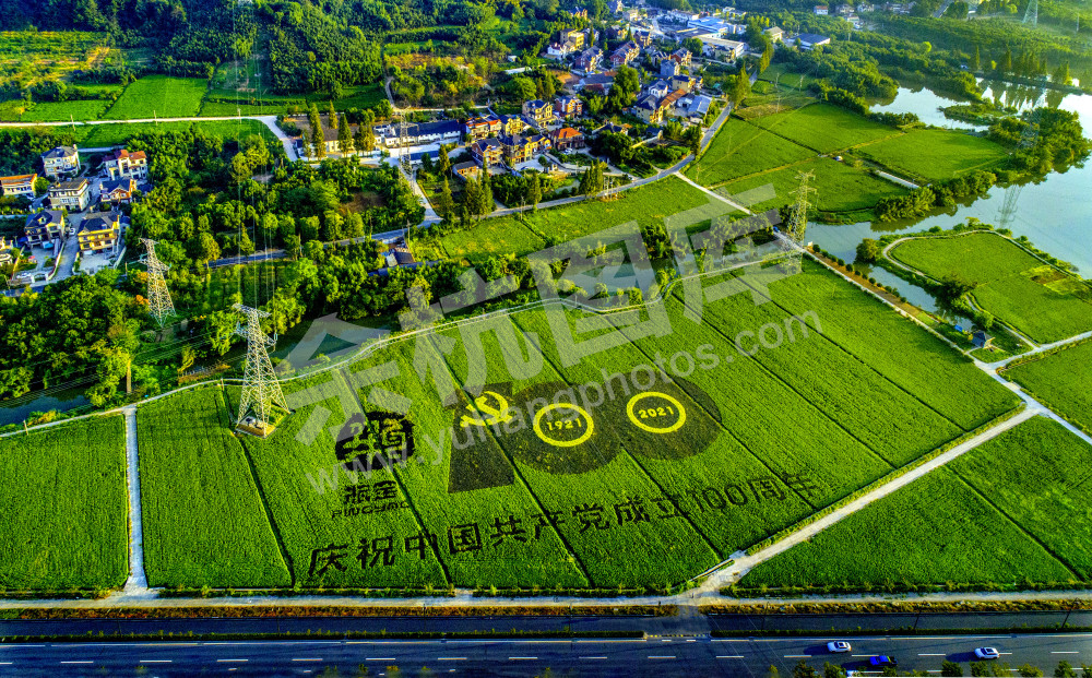 党的光辉照万代