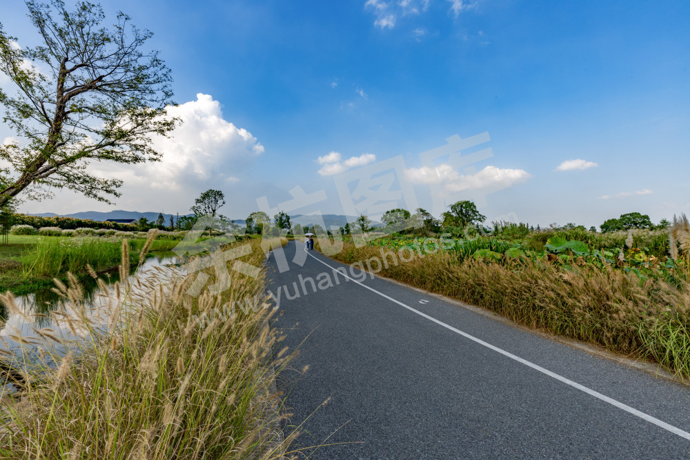 《游良渚&ldquo;御&rdquo;园》