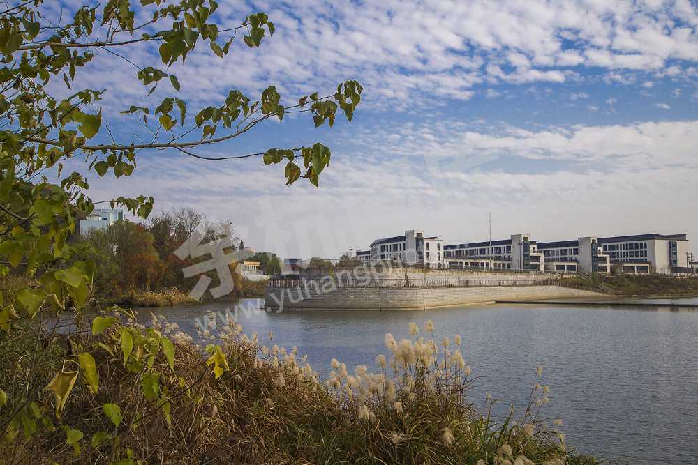 《瓶窑中学新校区》