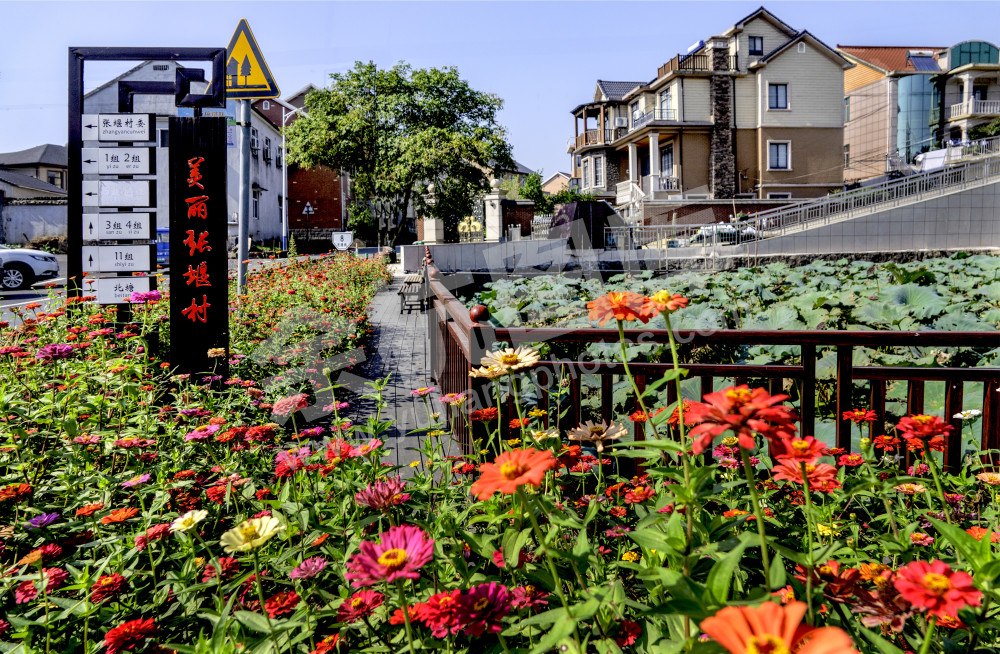 美丽村庄张堰村