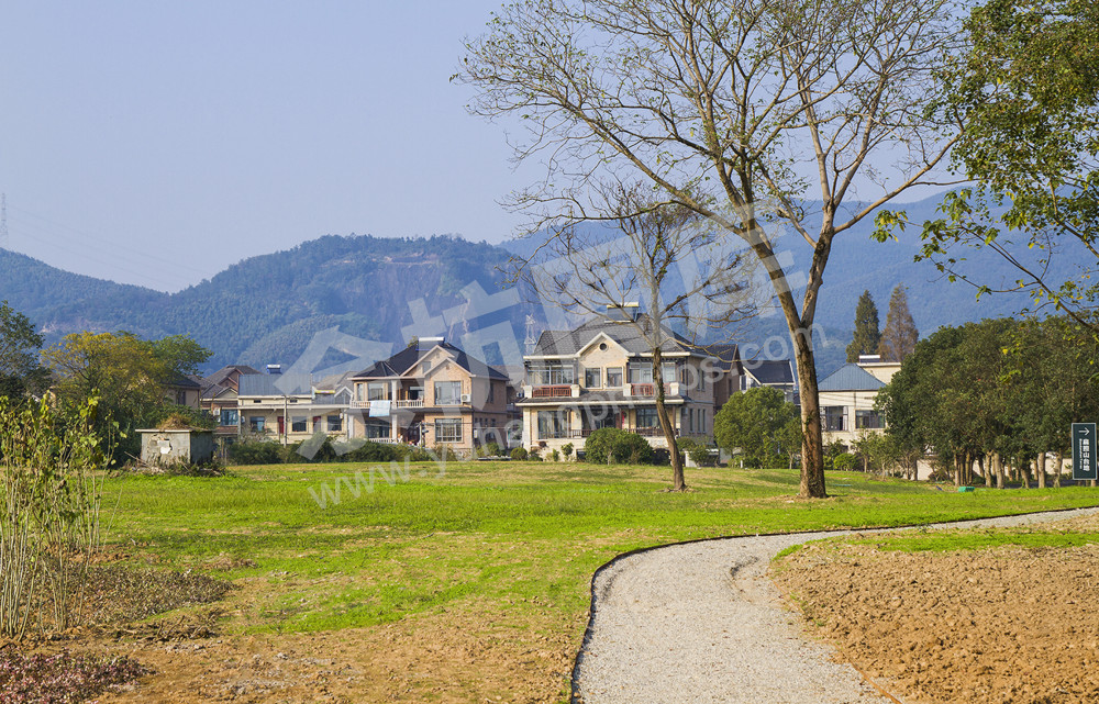 《发展民宿经济》