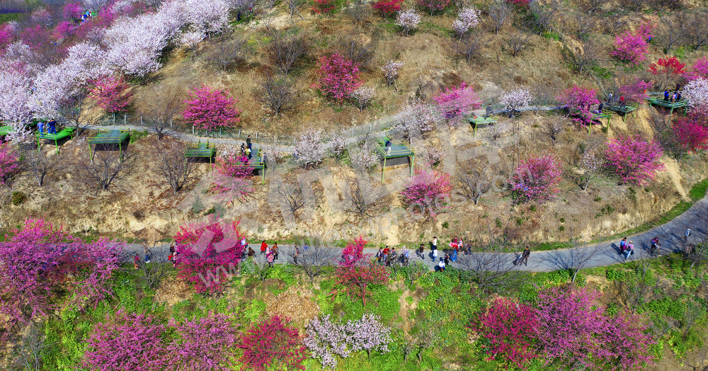 《人在花中 犹在画中》