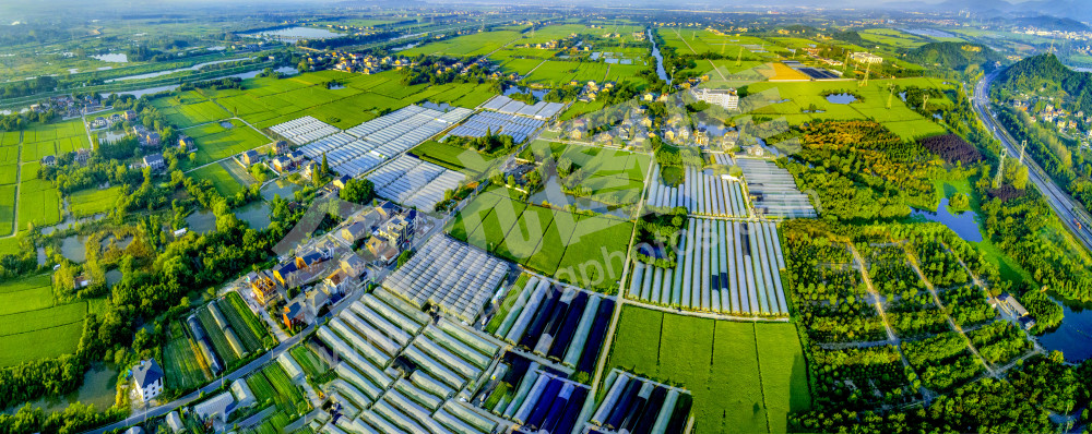 阡陌纵横家乡美（西安寺村）