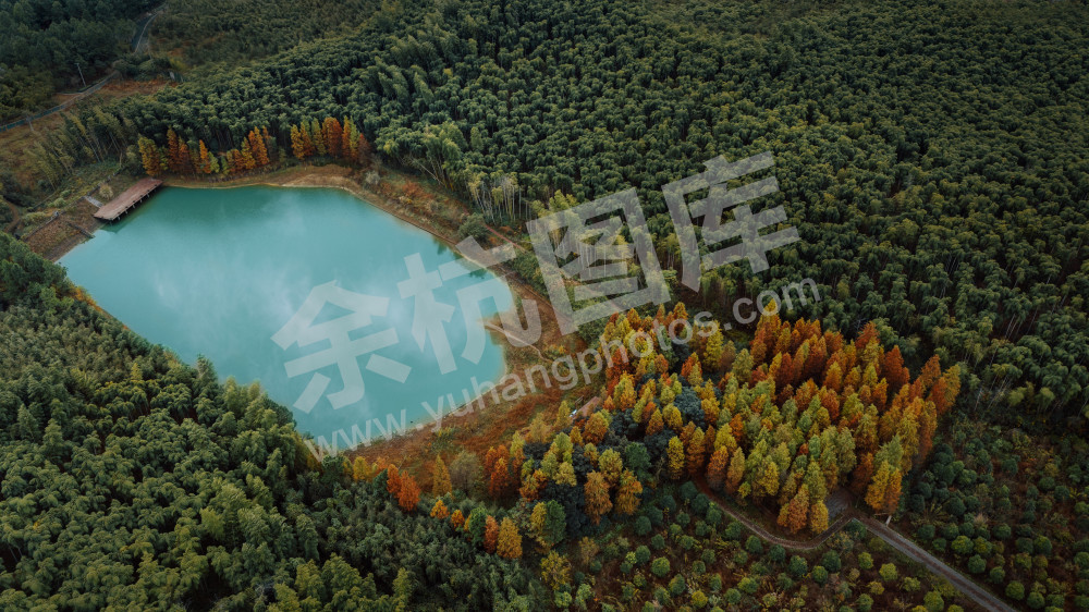 秋坞遗址