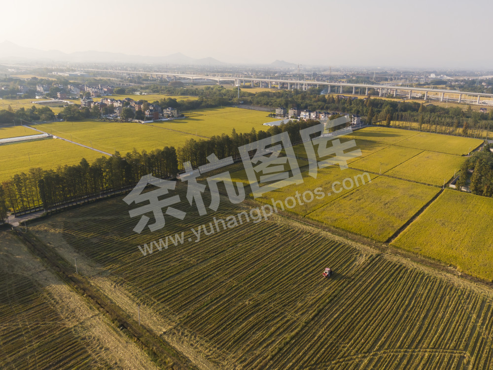 《又是一个丰收年》