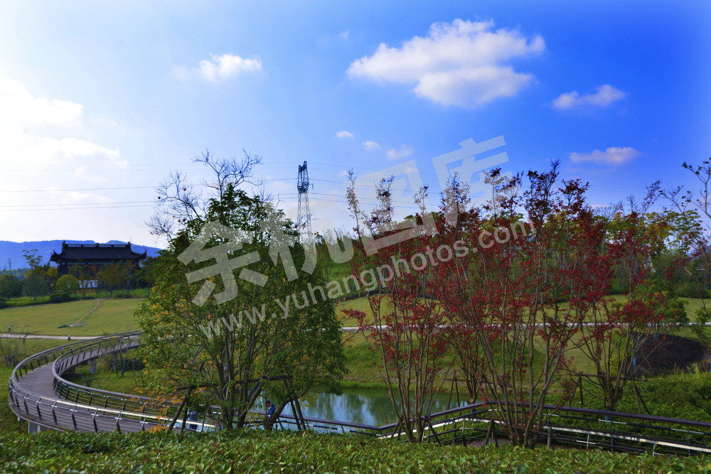 仁和智荟动力公园