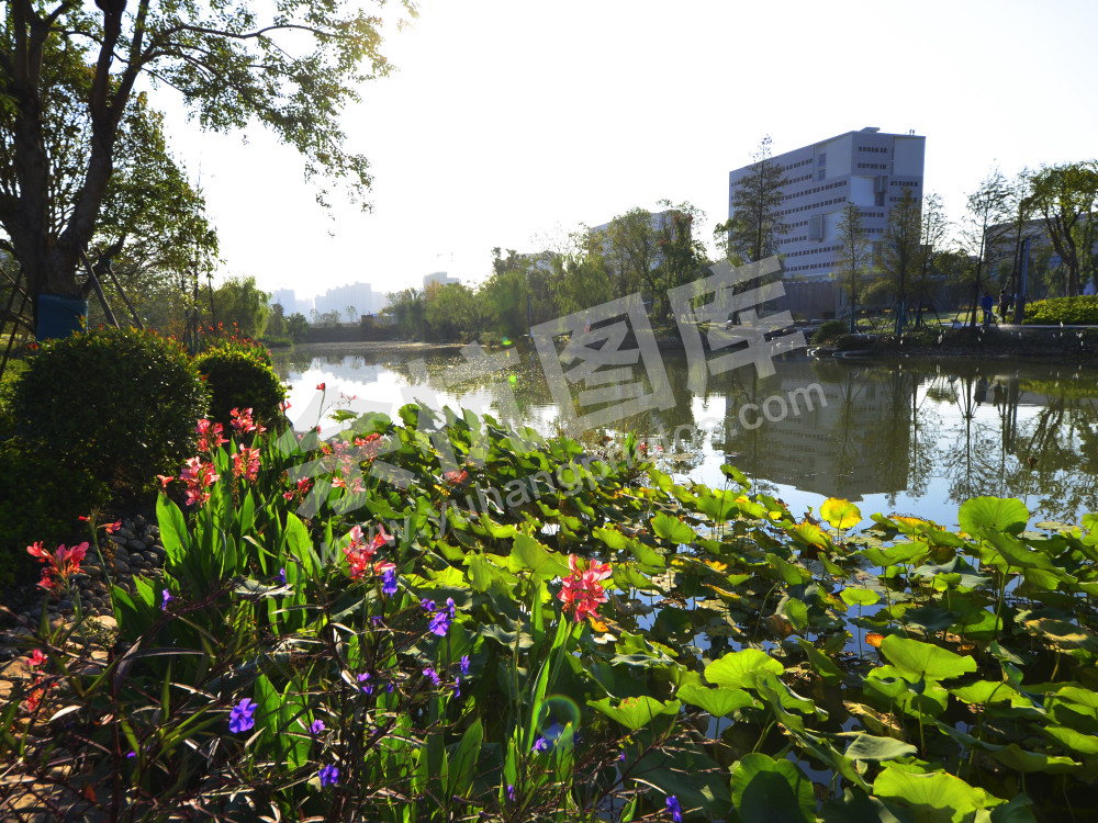 环中国美院（良渚校区）绿道完工