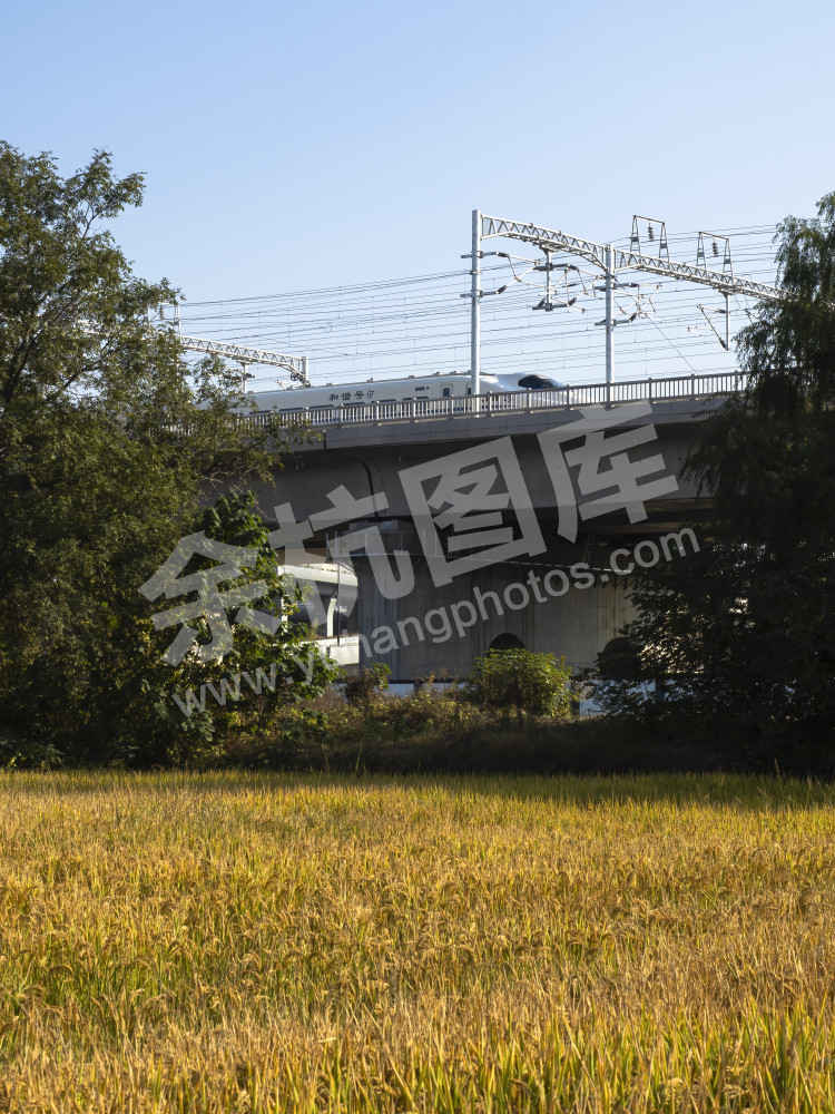 《高铁开到家门口》