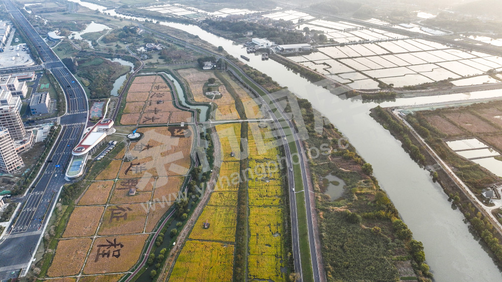 《智荟动力公园》