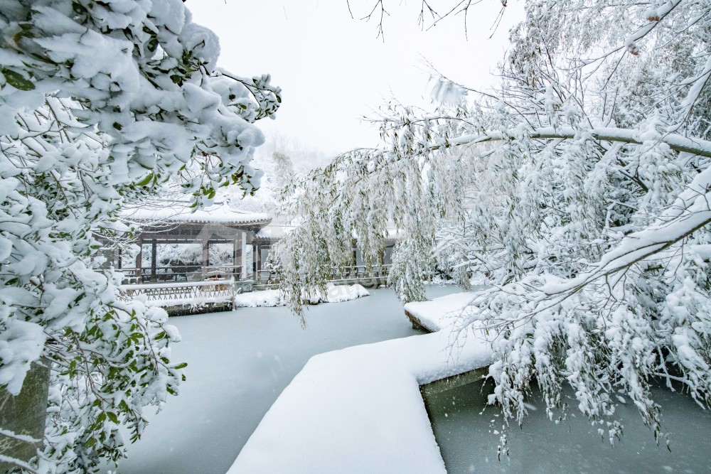 径山雪 