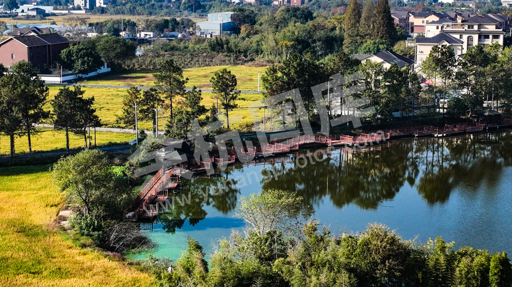 《美丽乡村环湖綠道》