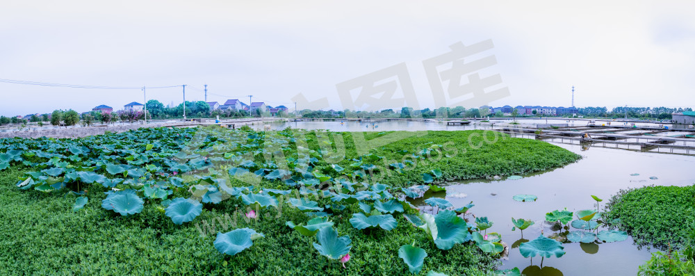 魅力仁和 