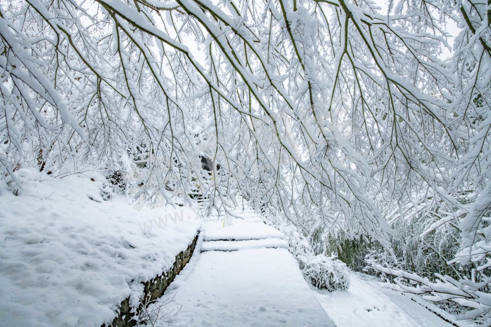 径山雪 