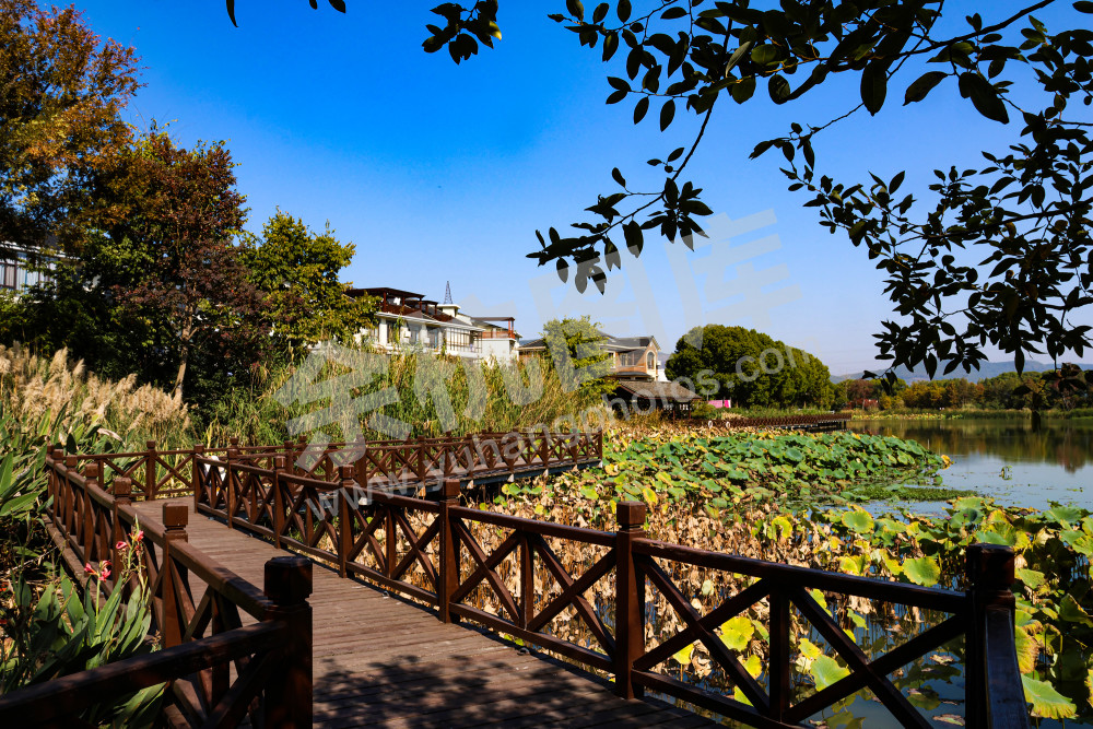 《美丽生态乡村杜城村》