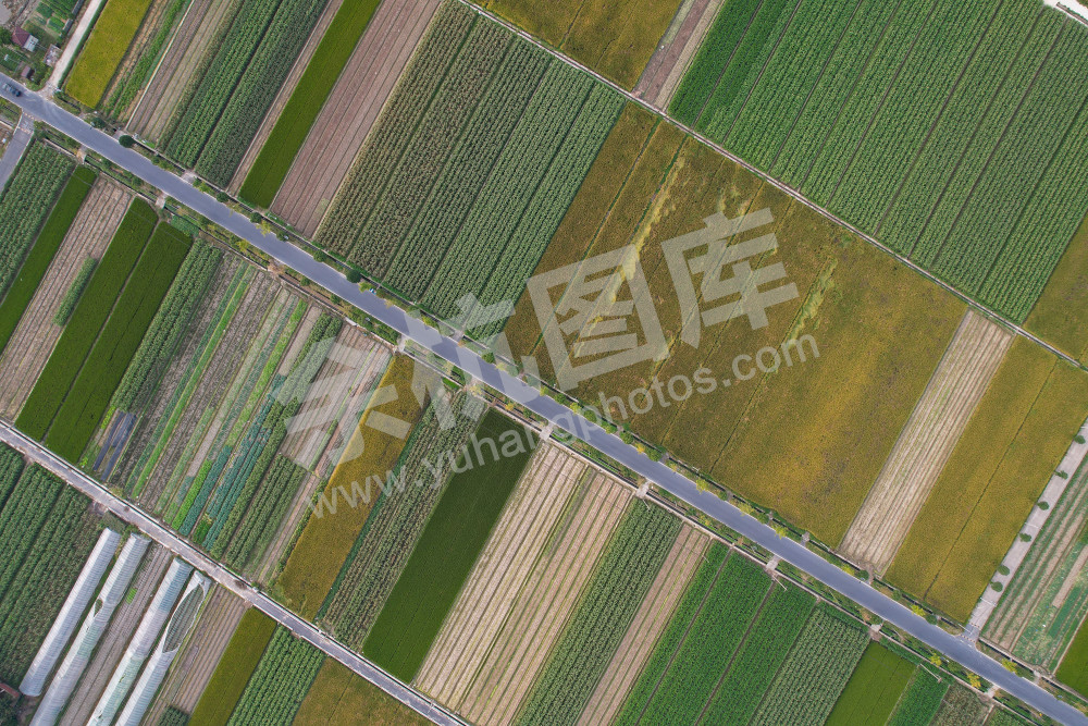 《田园线条》