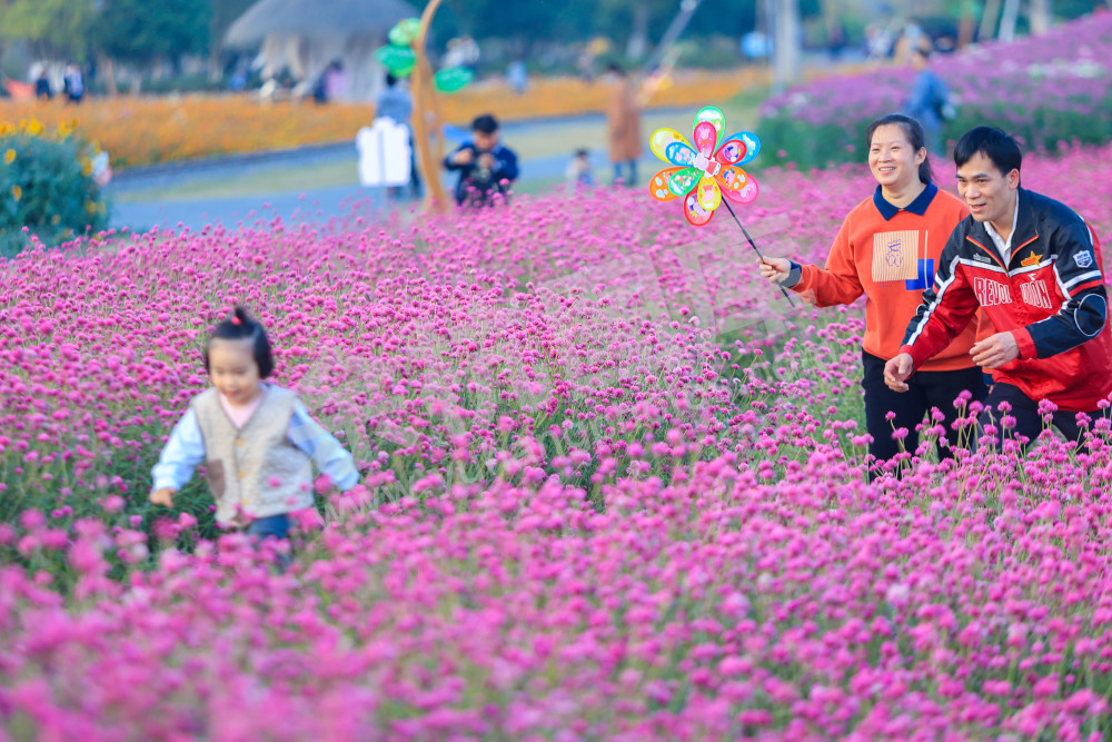 径山花海醉游人 