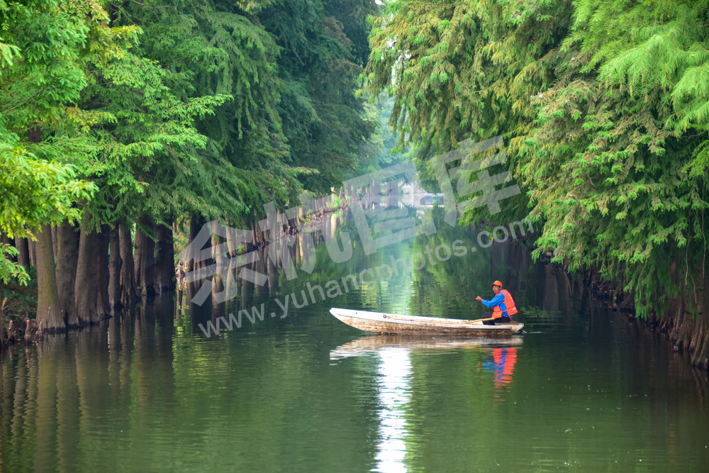 《巡河守护安澜》
