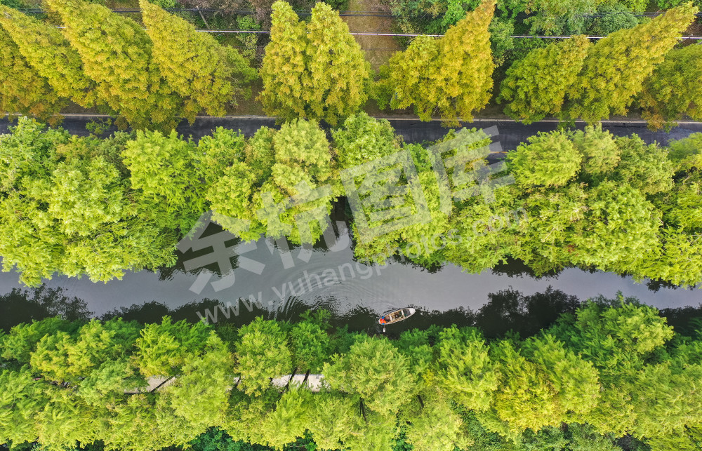 《巡河守护安澜》