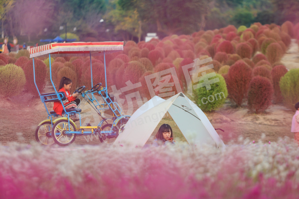 径山花海醉游人