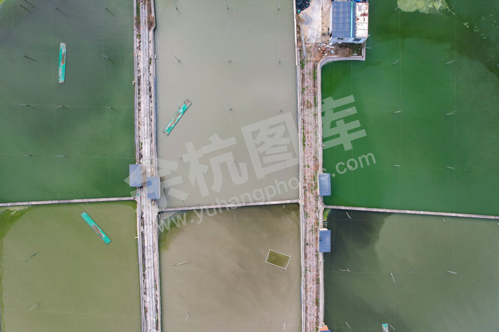 《生态鱼塘美如调色板》 