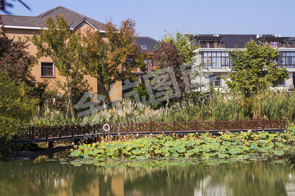 《滨水绿道秋色4》