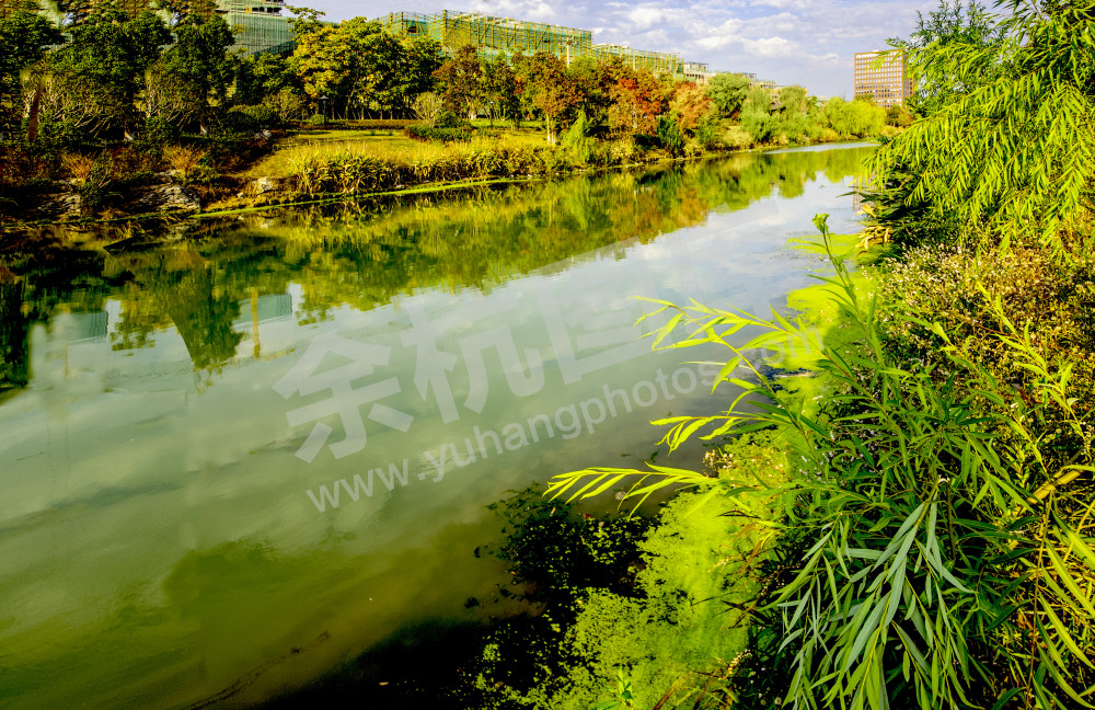 眼前就是油彩画