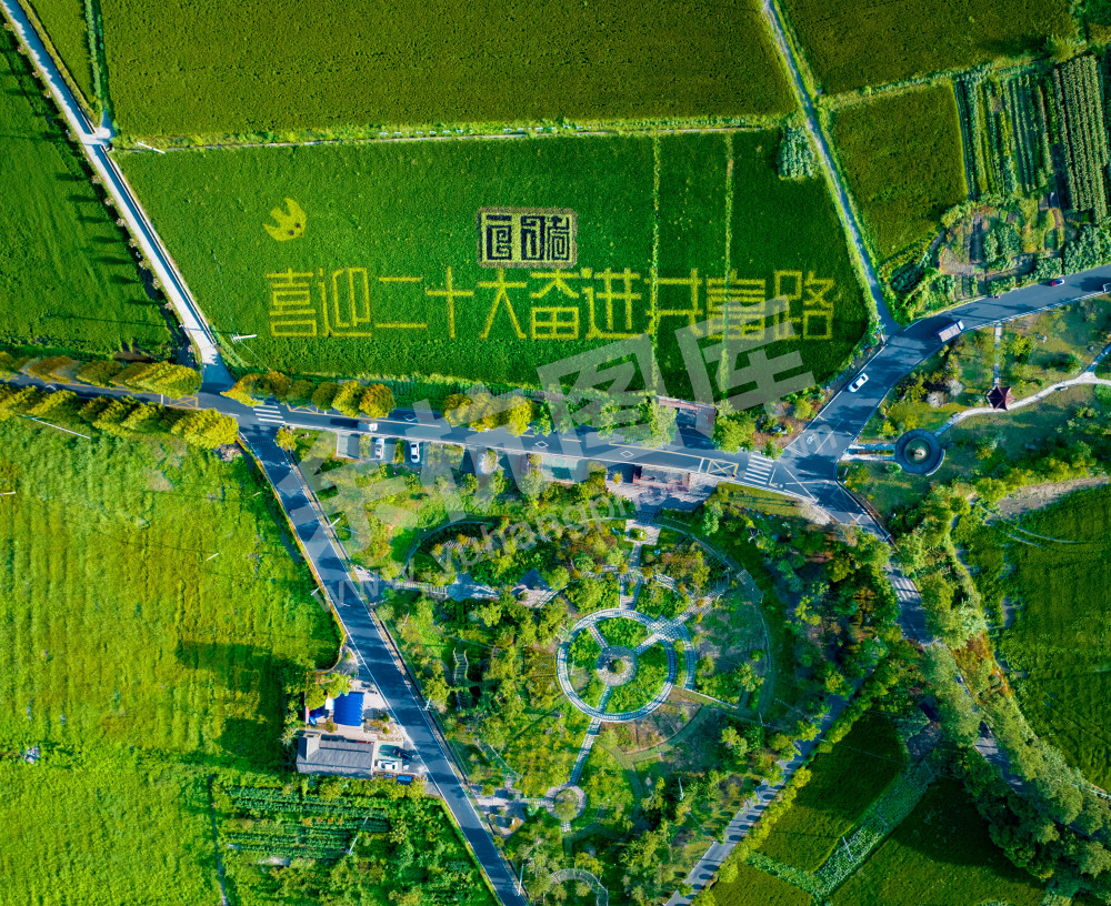 《奋进共富路》