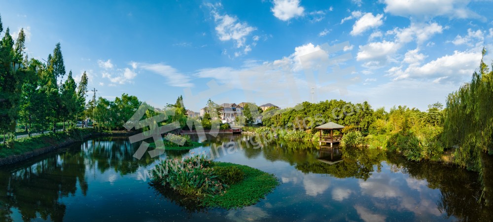 《美丽港南村》 