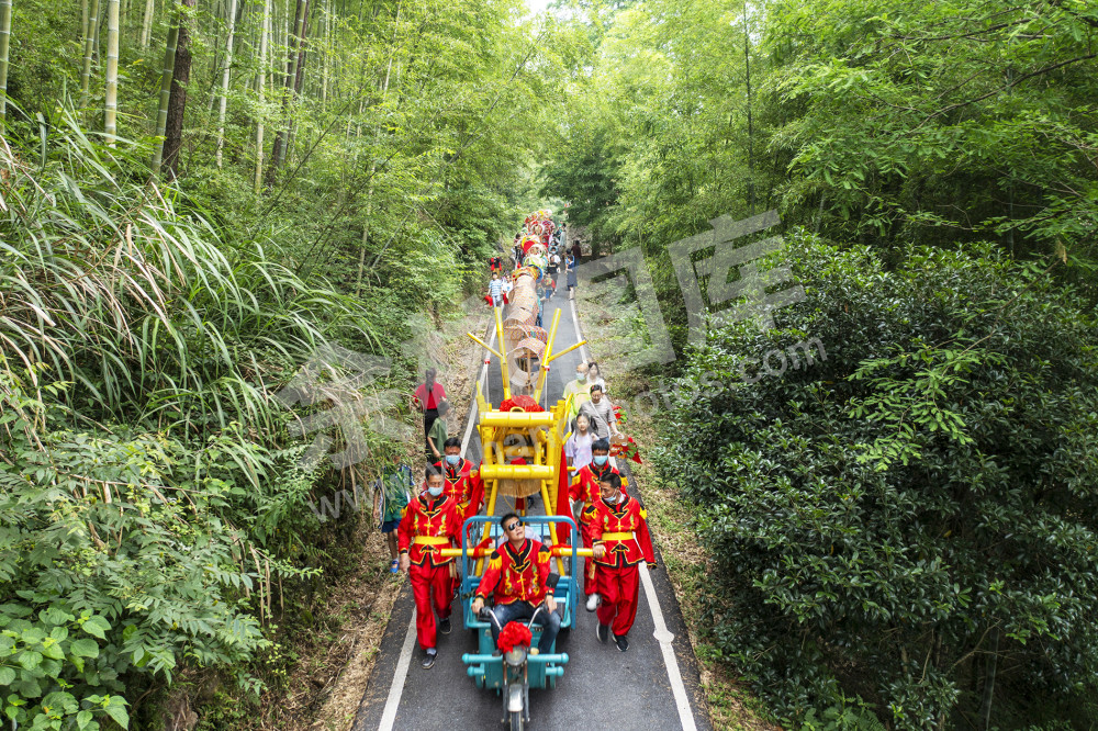 《青山村端午游龙会》