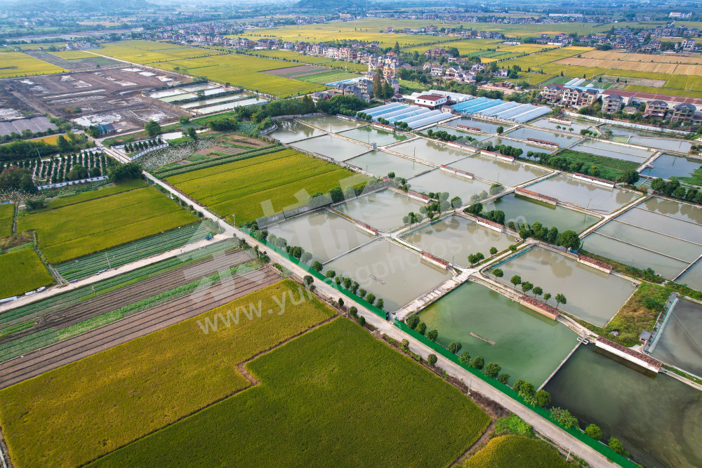 《生态鱼塘美如调色板》