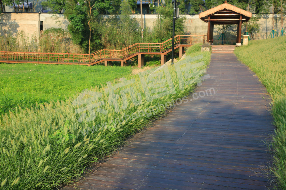 《老虎岭遗址公园》