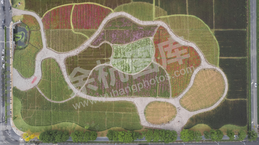 城市绿地+沈周晖